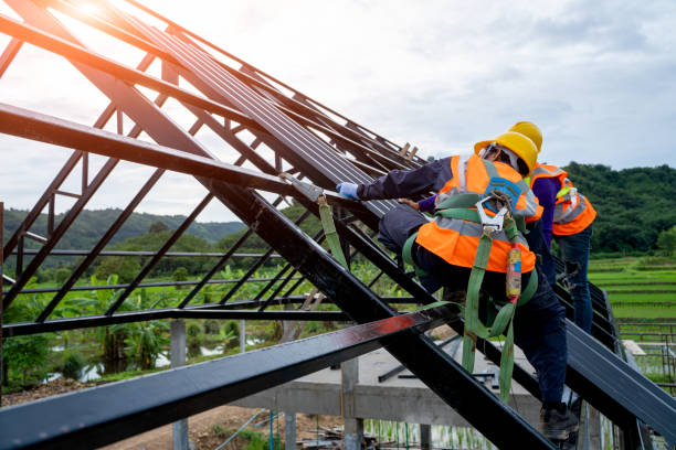 Best Sealant for Roof  in Flora, IL